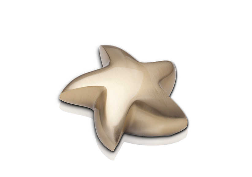 relicario estrella dorada