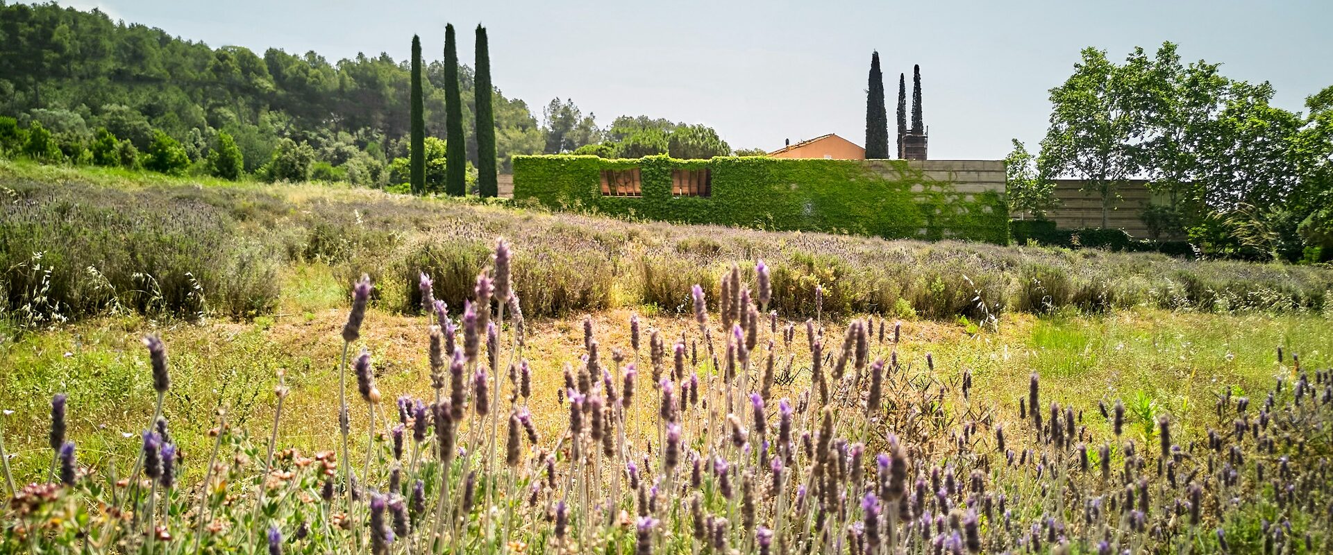 cementerio