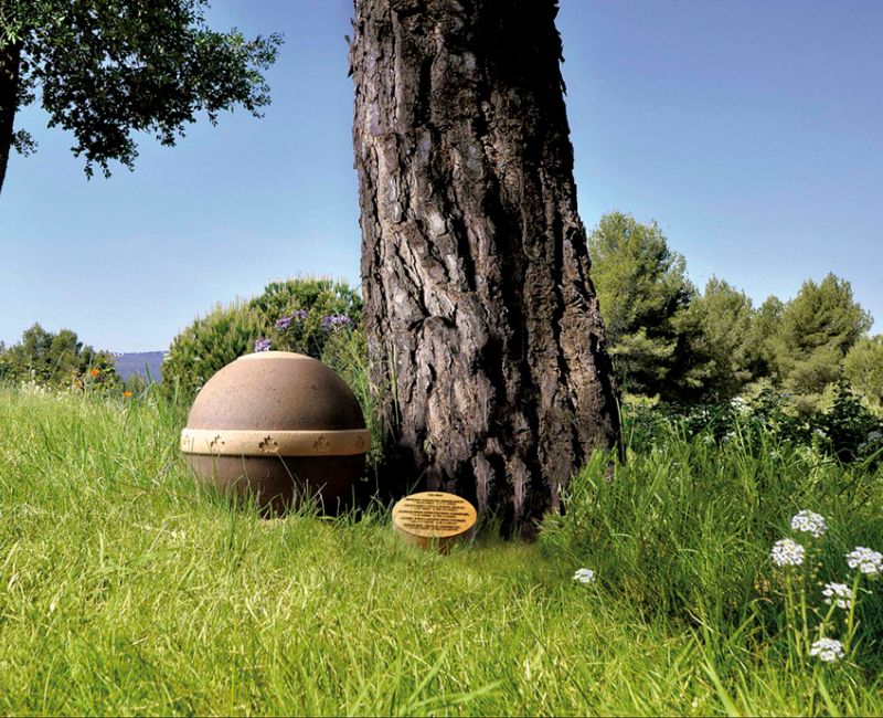 Arbol Familiar