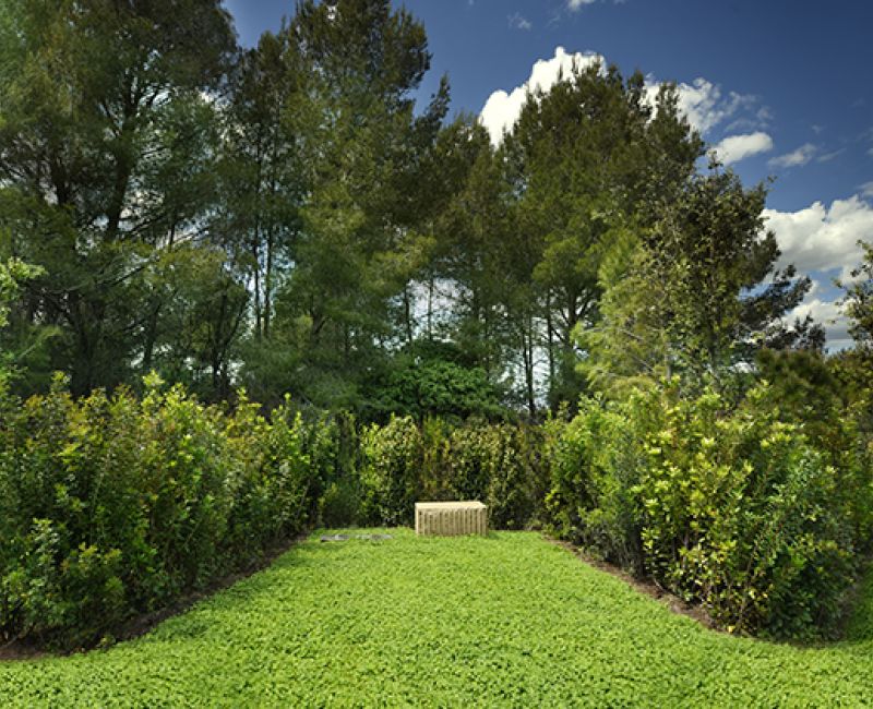 panteon bosque